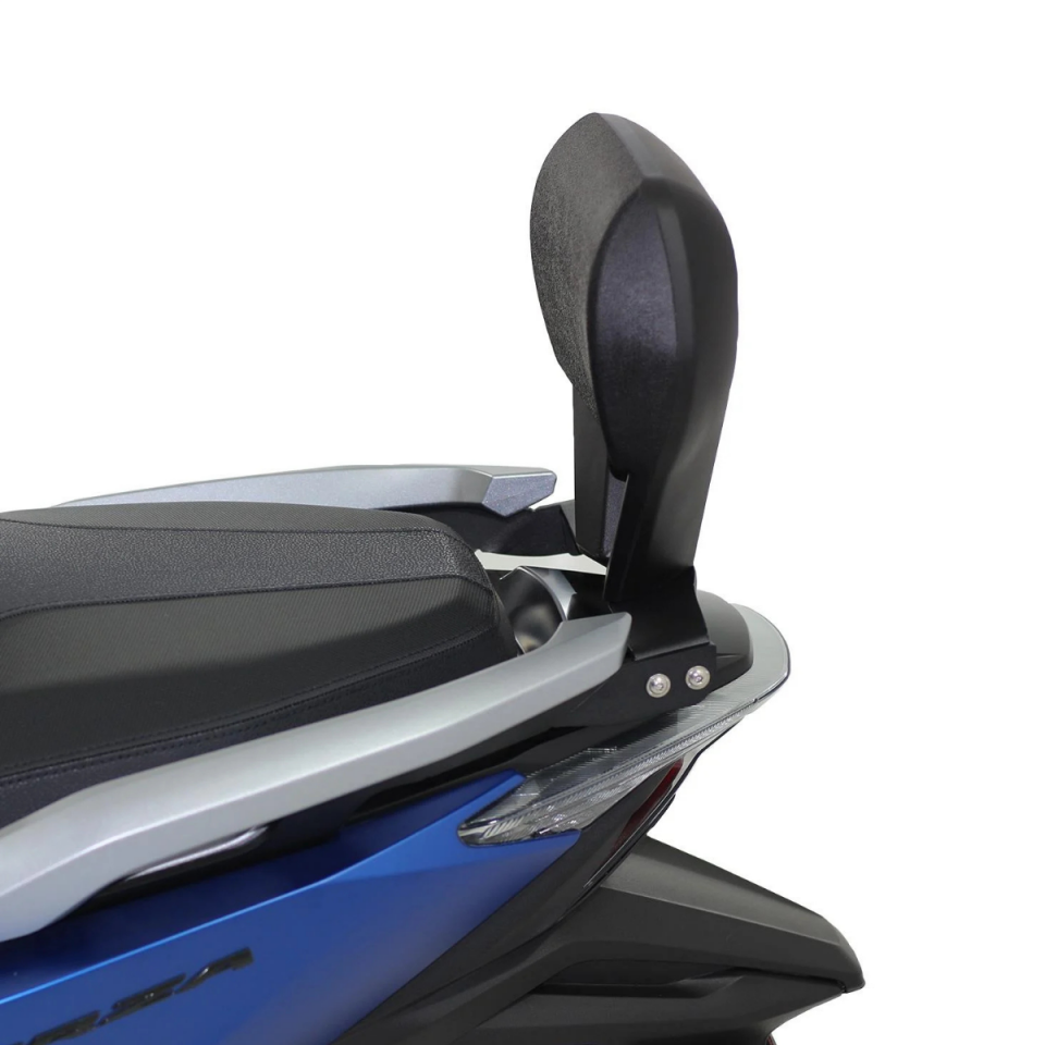 GP Kompozit Honda Forza 250 2021-2022 Uyumlu Sissy Bar Siyah