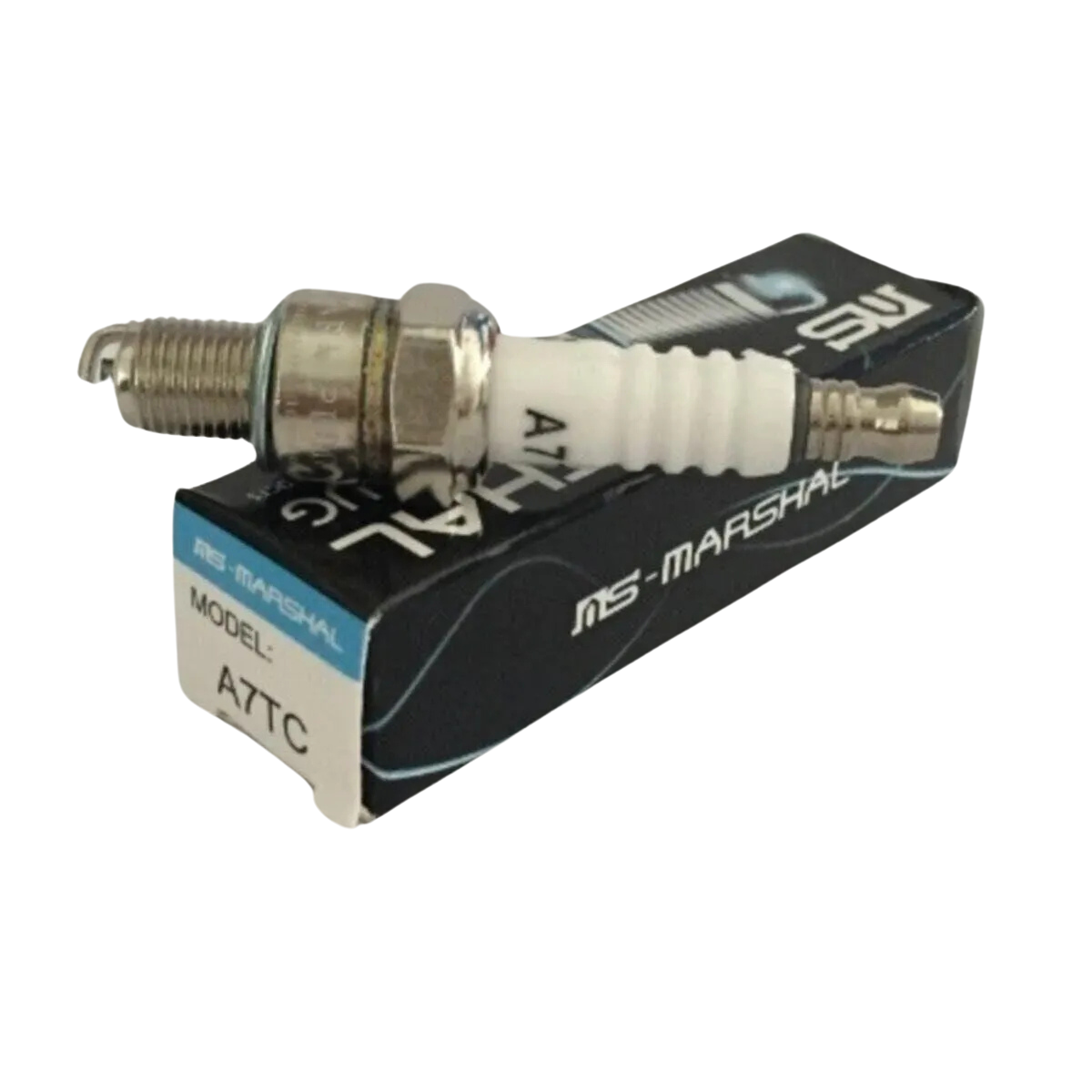 SCOOTER BUJİ MARSHALL