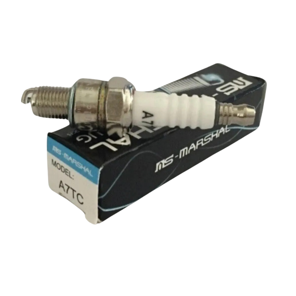 SCOOTER BUJİ MARSHALL